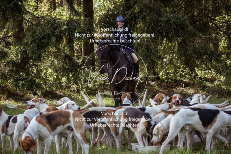 Schleppjagd_Laichingen-398