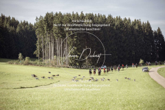 Schleppjagd_Laichingen-410