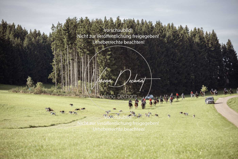 Schleppjagd_Laichingen-410