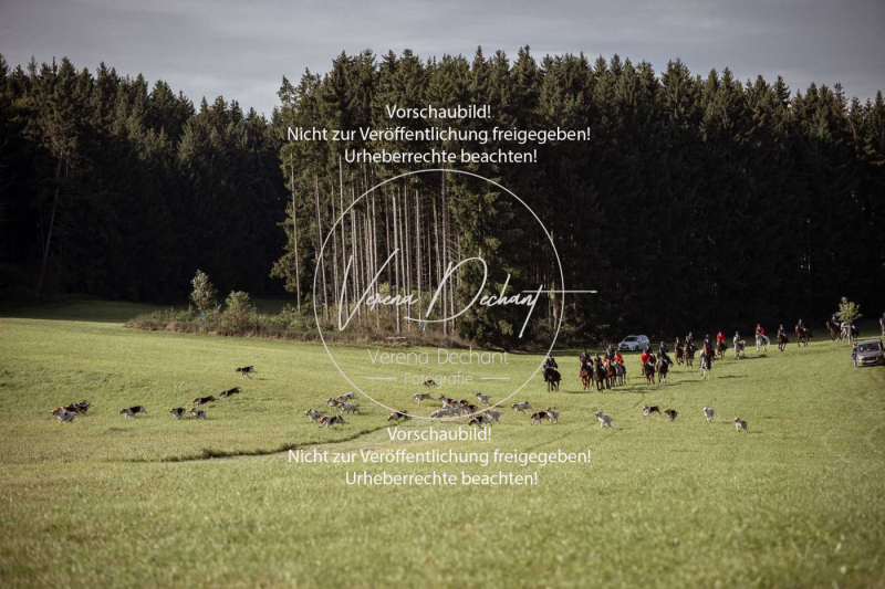 Schleppjagd_Laichingen-411