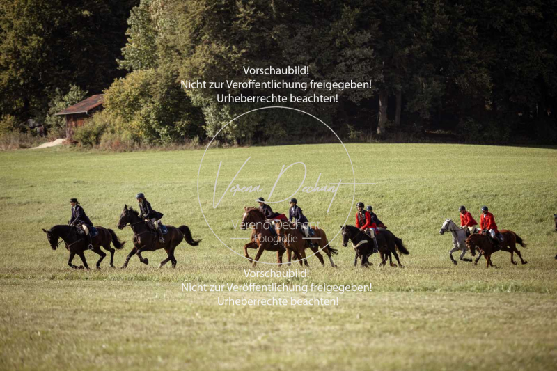 Schleppjagd_Laichingen-418