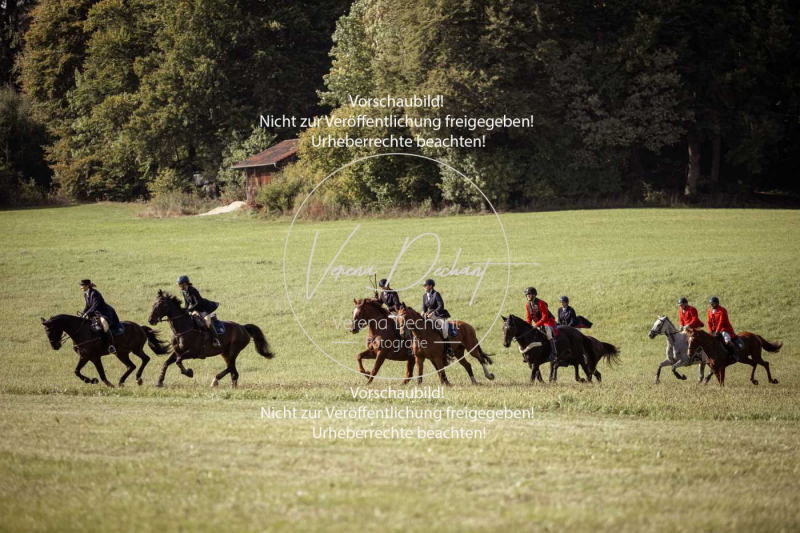 Schleppjagd_Laichingen-419