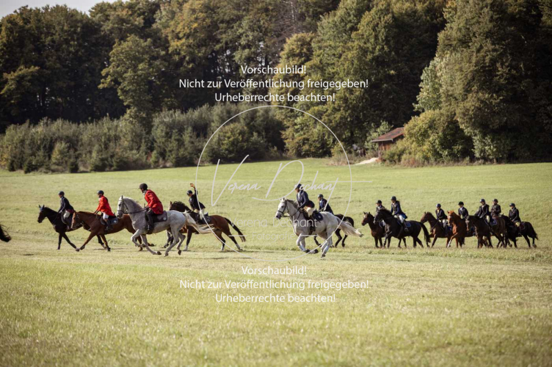 Schleppjagd_Laichingen-423