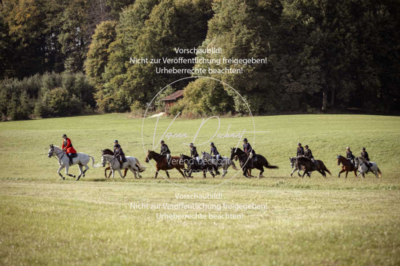 Schleppjagd_Laichingen-426