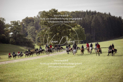 Schleppjagd_Laichingen-433