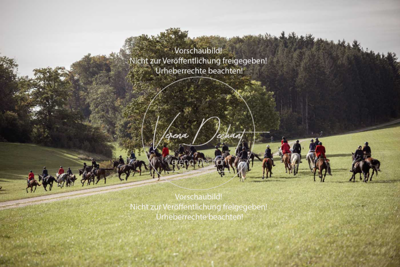 Schleppjagd_Laichingen-433