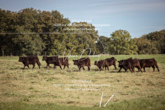 Schleppjagd_Laichingen-448