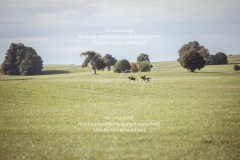 Schleppjagd_Laichingen-456