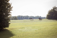 Schleppjagd_Laichingen-459