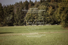 Schleppjagd_Laichingen-461