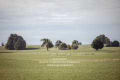 Schleppjagd_Laichingen-469