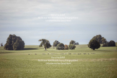 Schleppjagd_Laichingen-470