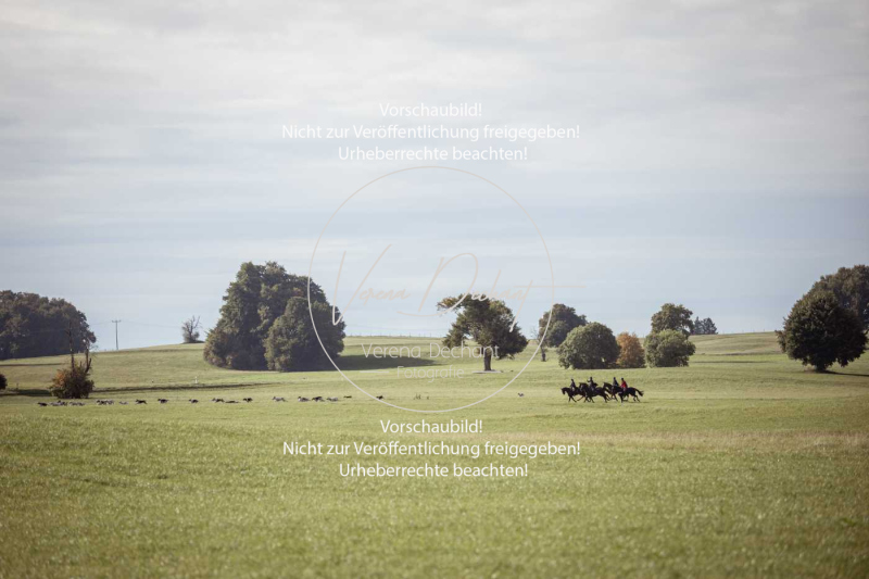 Schleppjagd_Laichingen-475