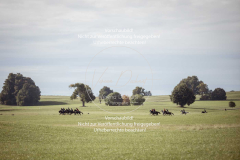 Schleppjagd_Laichingen-476