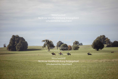 Schleppjagd_Laichingen-489