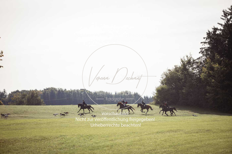 Schleppjagd_Laichingen-495