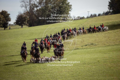 Schleppjagd_Laichingen-515