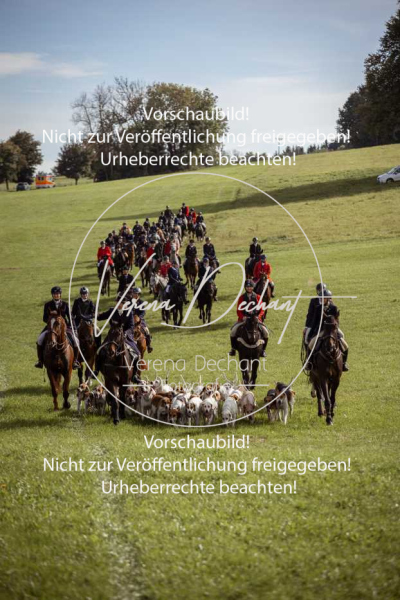 Schleppjagd_Laichingen-522