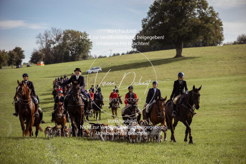 Schleppjagd_Laichingen-525