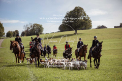 Schleppjagd_Laichingen-527