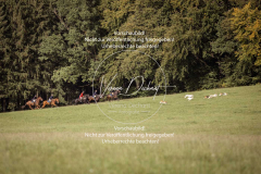 Schleppjagd_Laichingen-559