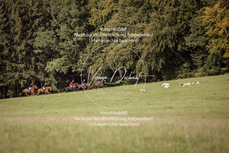 Schleppjagd_Laichingen-559