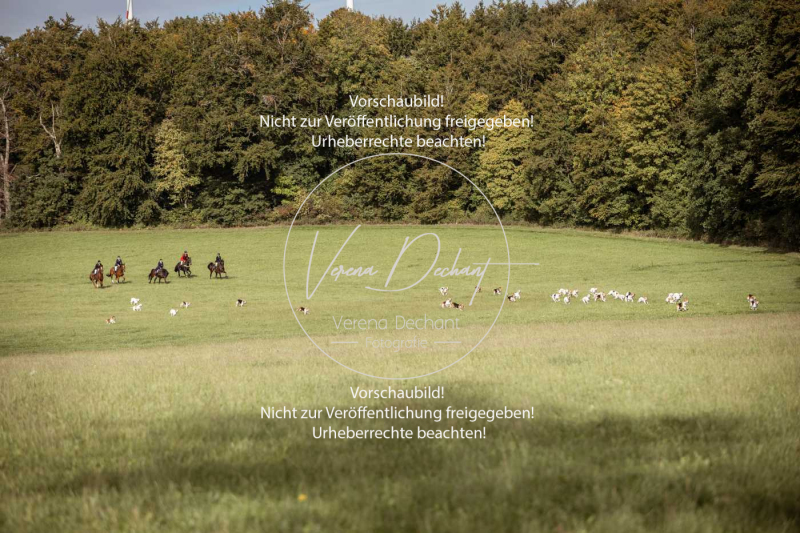 Schleppjagd_Laichingen-563