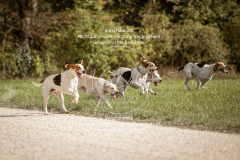 Schleppjagd_Laichingen-568