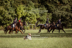 Schleppjagd_Laichingen-577