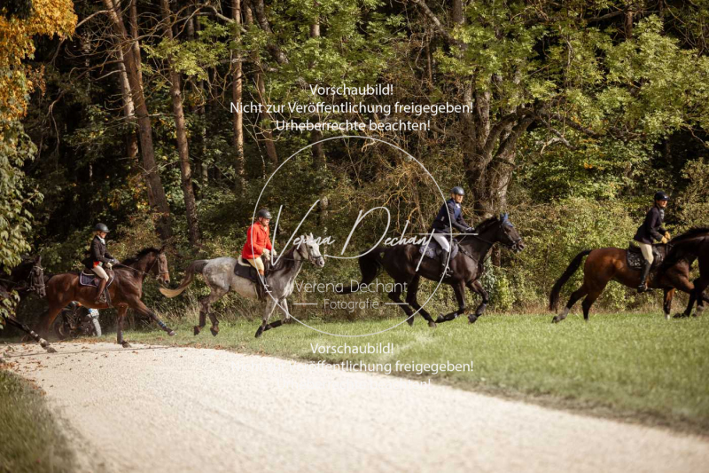 Schleppjagd_Laichingen-582