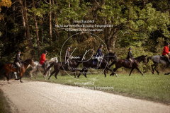 Schleppjagd_Laichingen-585