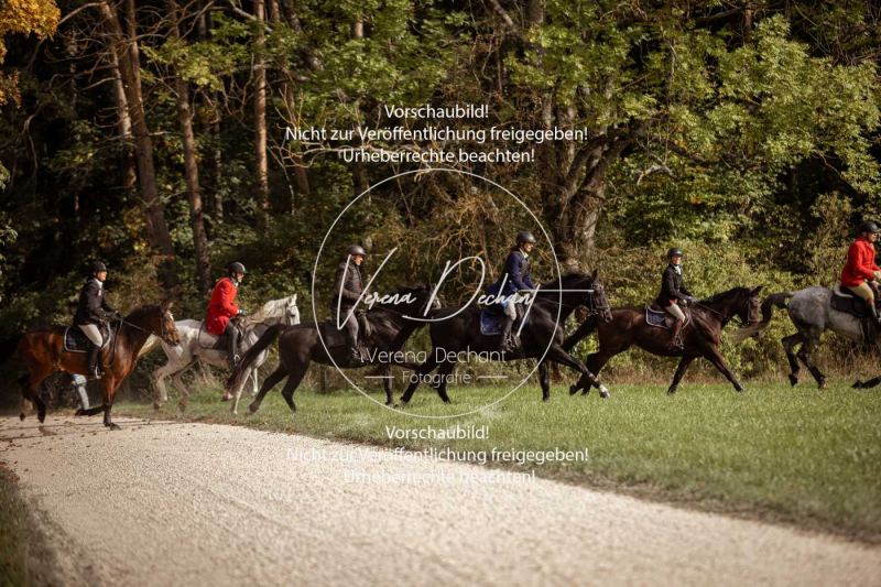 Schleppjagd_Laichingen-585