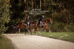 Schleppjagd_Laichingen-594