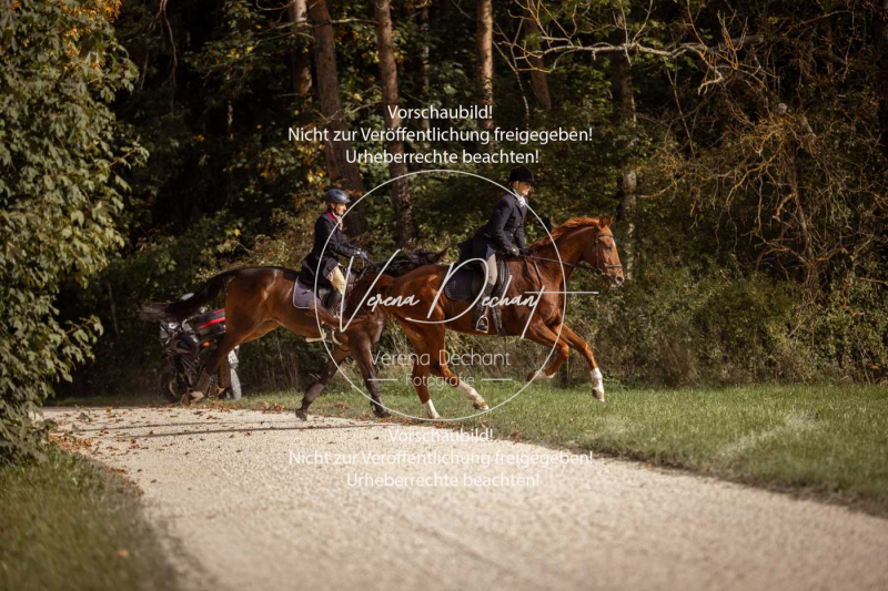 Schleppjagd_Laichingen-594