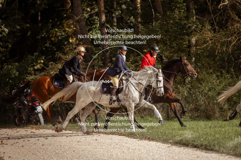 Schleppjagd_Laichingen-600