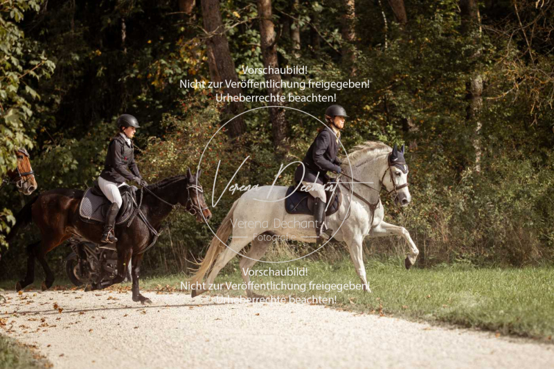 Schleppjagd_Laichingen-605