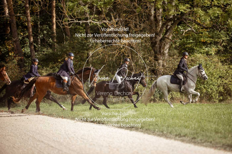 Schleppjagd_Laichingen-608