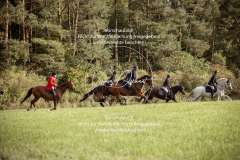 Schleppjagd_Laichingen-614