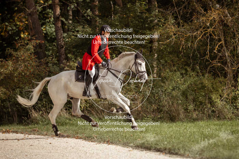 Schleppjagd_Laichingen-618