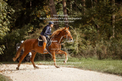 Schleppjagd_Laichingen-621