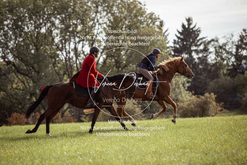 Schleppjagd_Laichingen-627