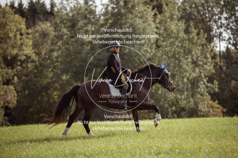 Schleppjagd_Laichingen-628