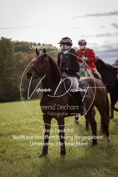 Schleppjagd_Laichingen-646