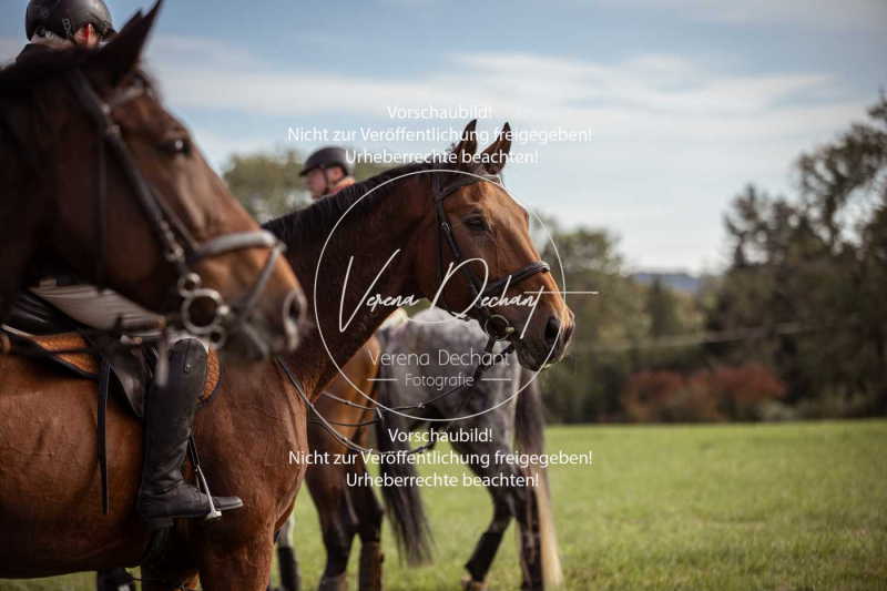 Schleppjagd_Laichingen-669