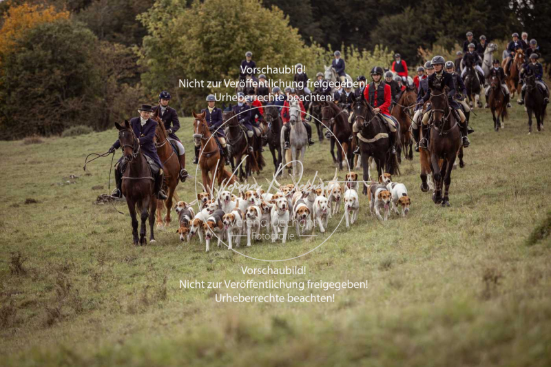 Schleppjagd_Laichingen-670