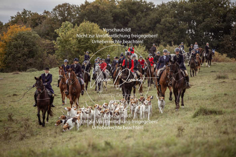 Schleppjagd_Laichingen-671