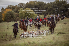 Schleppjagd_Laichingen-672