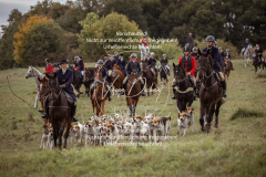 Schleppjagd_Laichingen-675