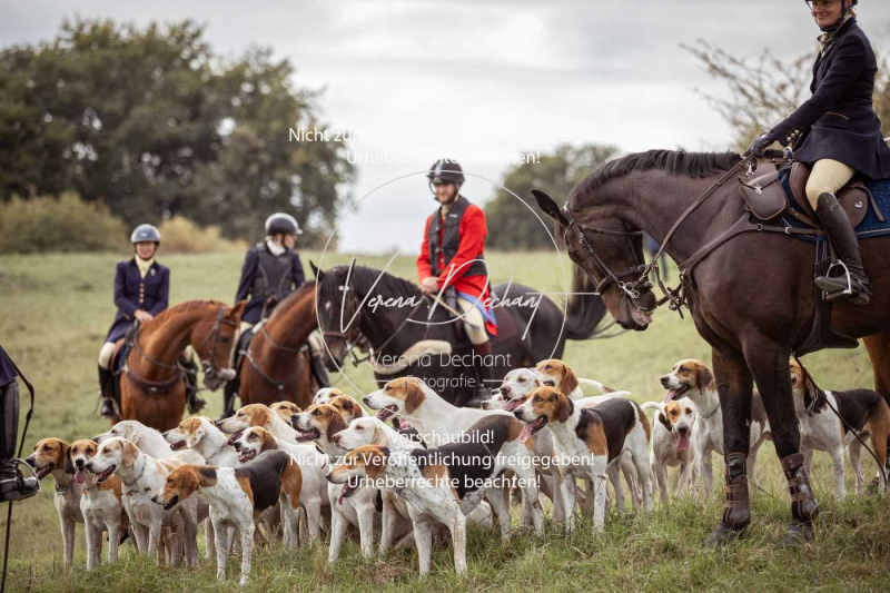 Schleppjagd_Laichingen-685