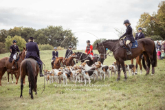 Schleppjagd_Laichingen-686